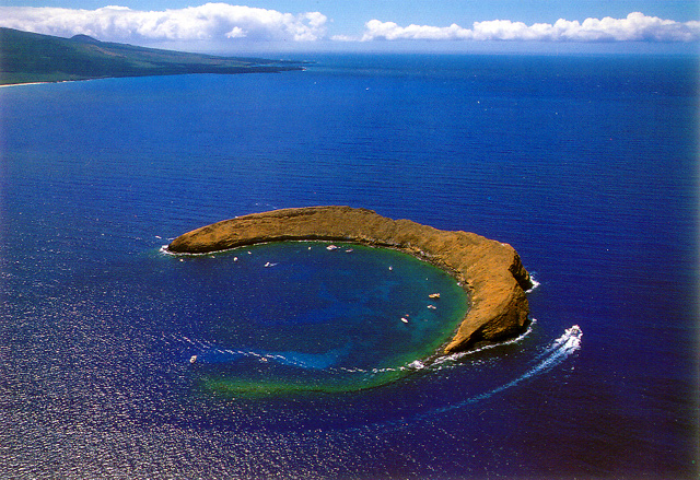 pwf-molokini